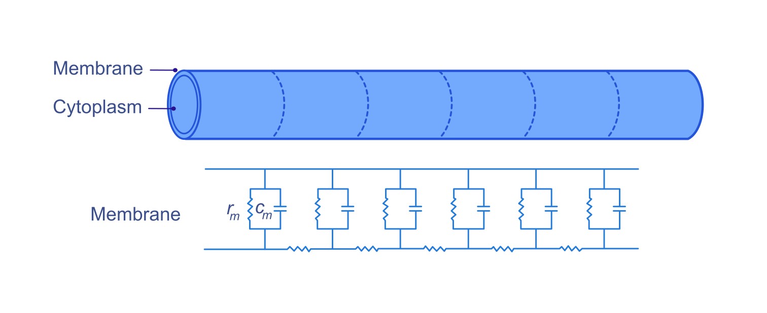 Axial Resistance