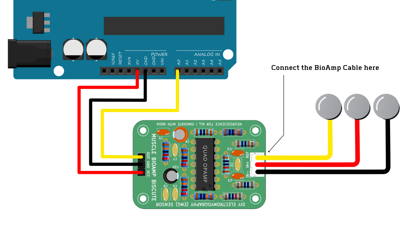 ../../../_images/biscute-cable-connection.png