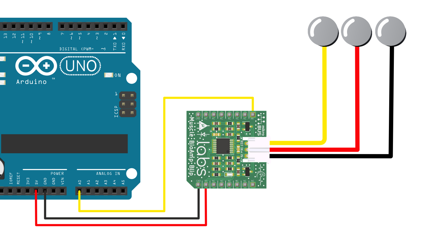 ../../../_images/blip-bioamp-cable.png