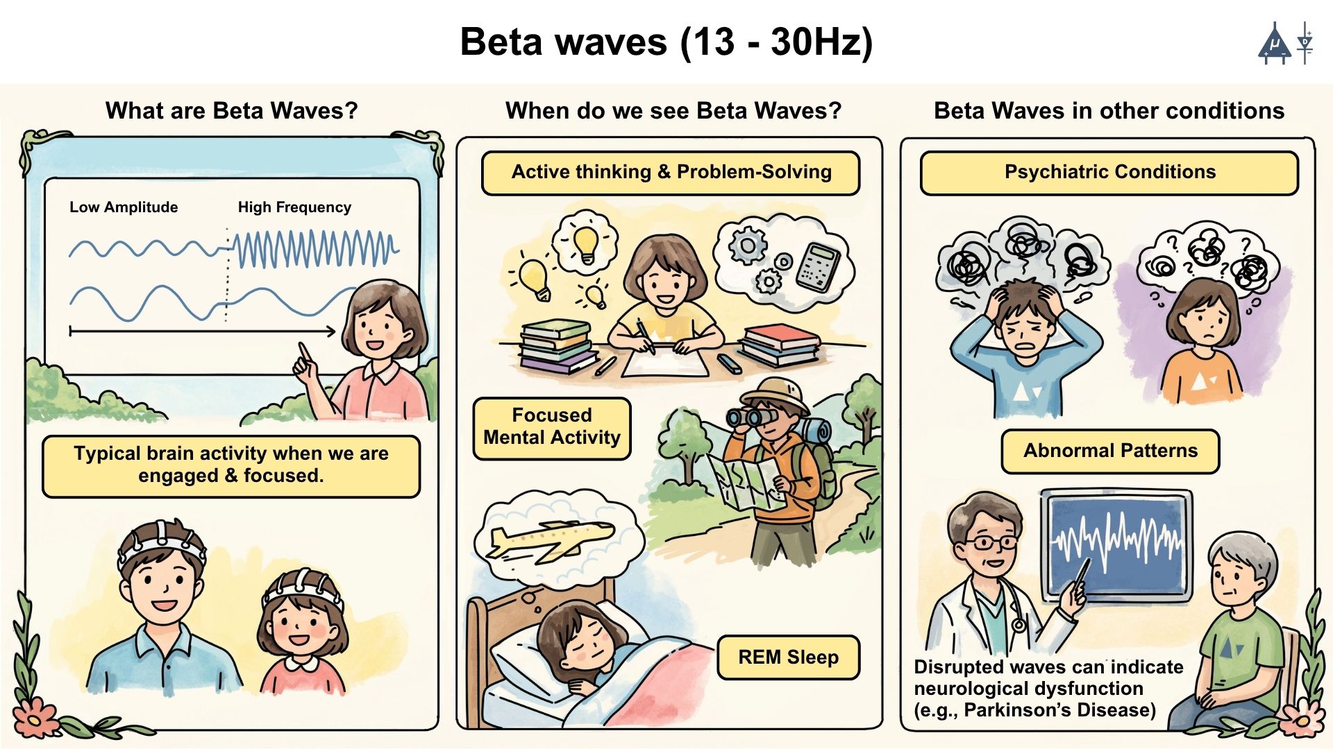 EEG Beta Waves