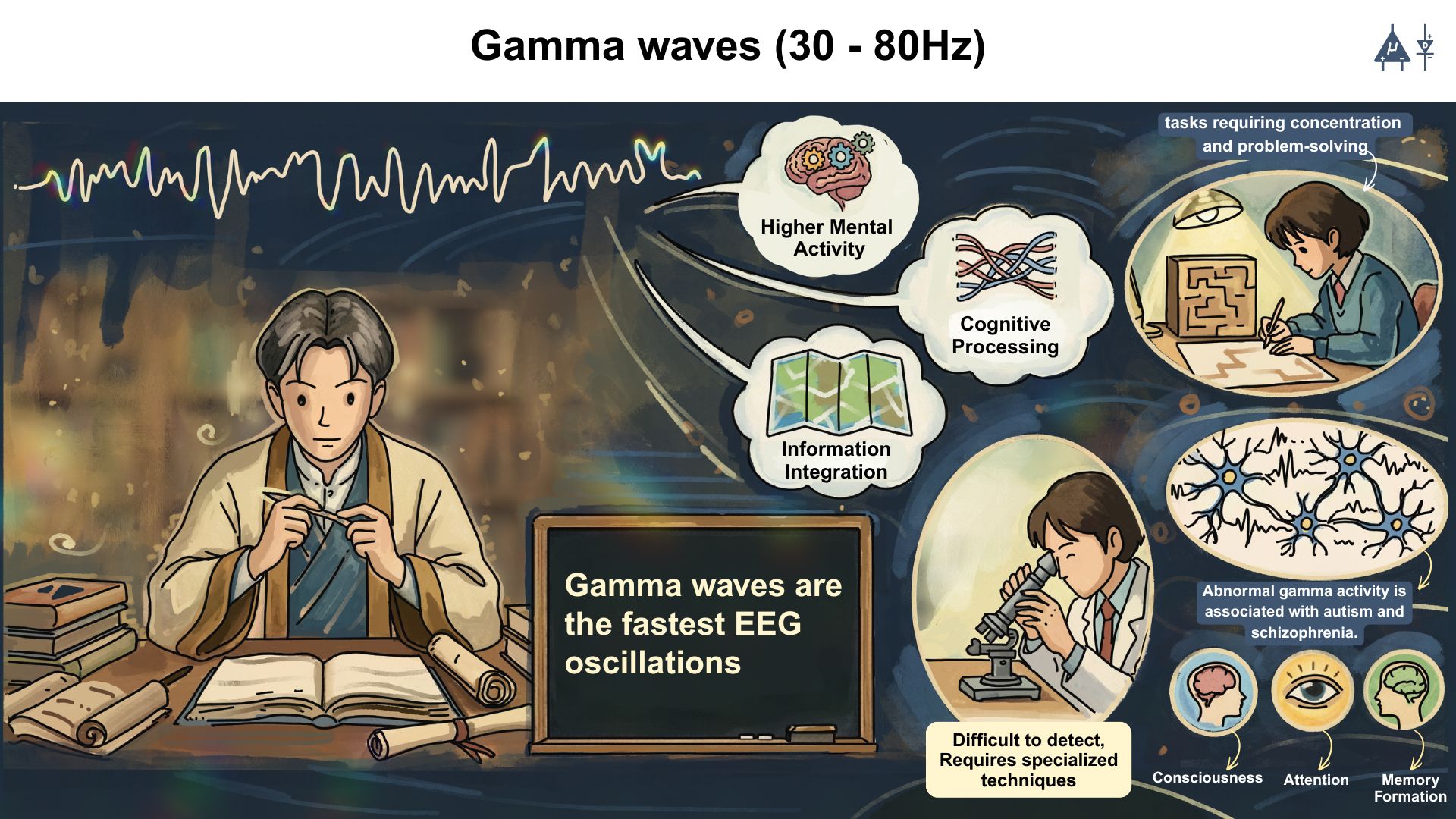 EEG Gamma Waves