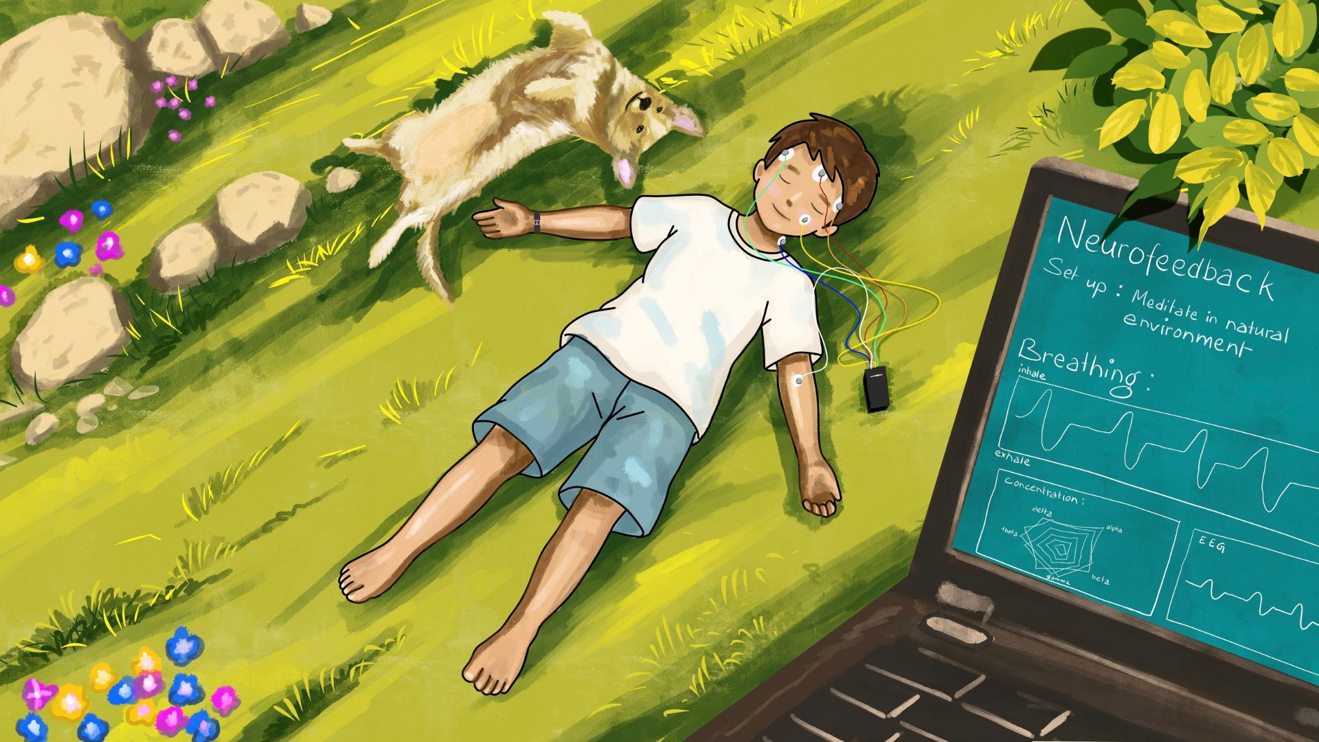 EEG neurofeedback applications