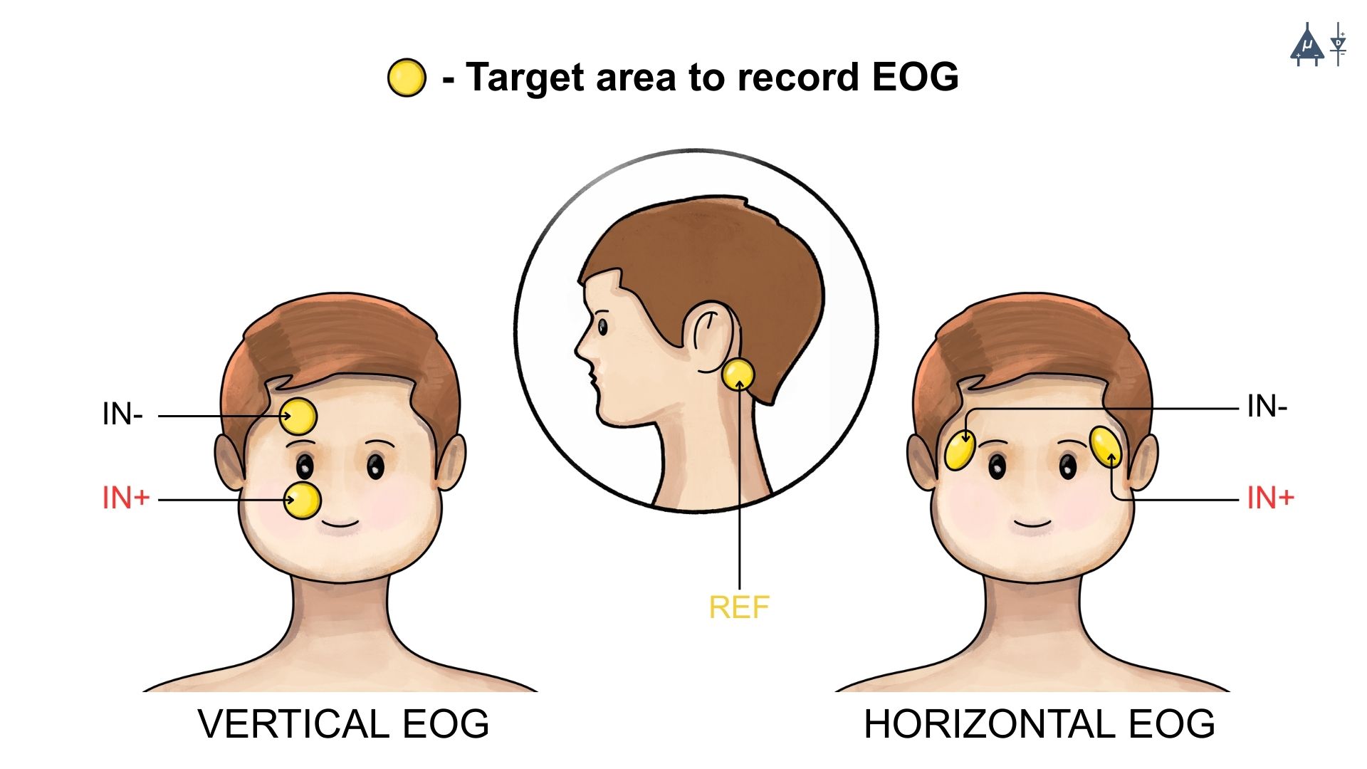 EOG Electrode Placement