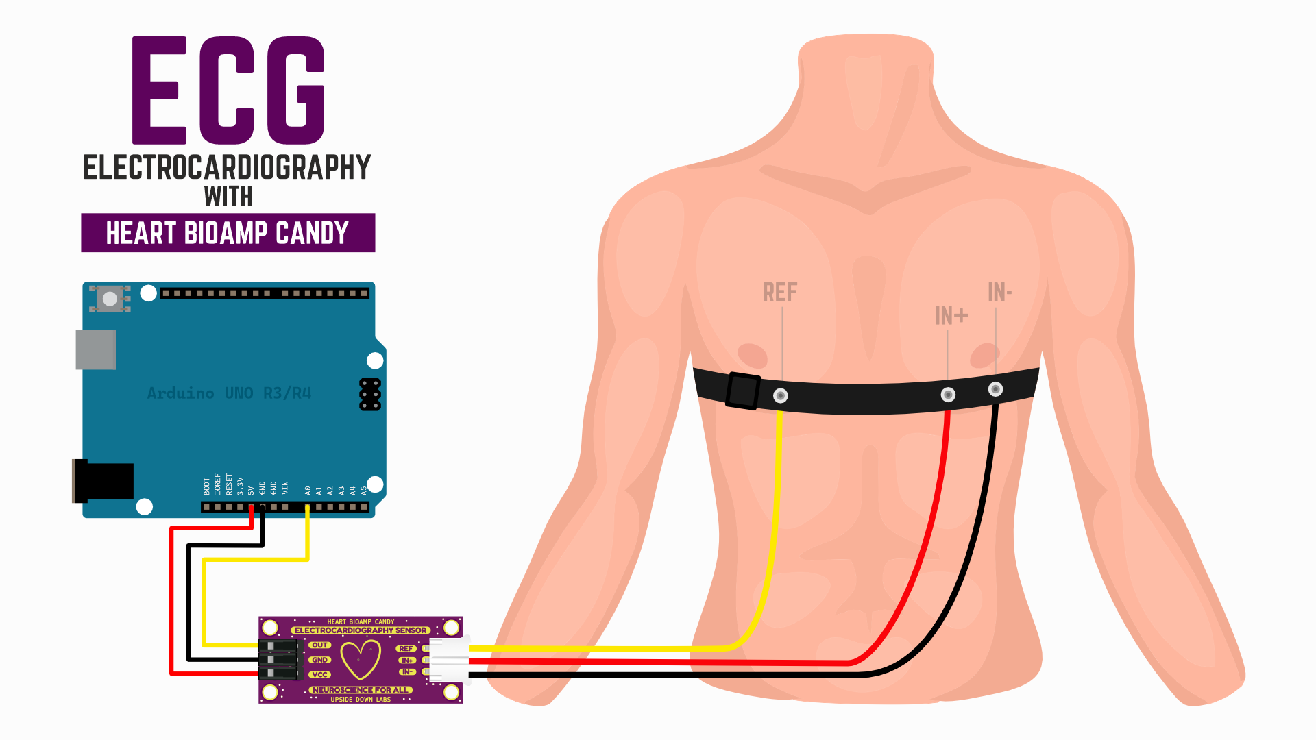 Using Heart BioAmp Candy to measure ECG with Heart BioAmp Band