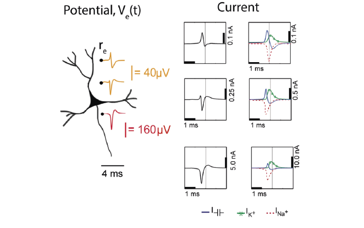 ../../../_images/electric_potential_spike.png