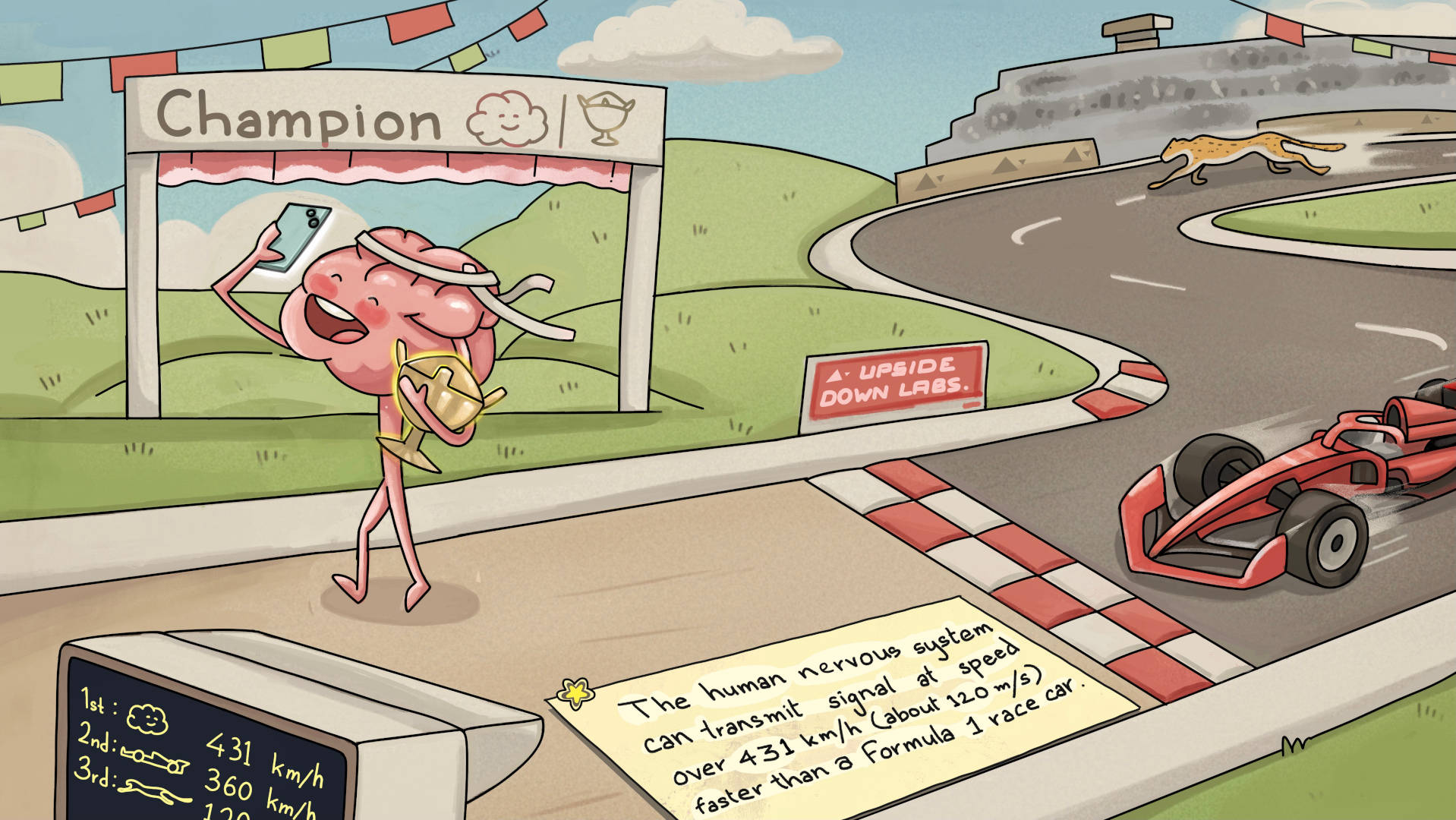 Human nervous system fun fact