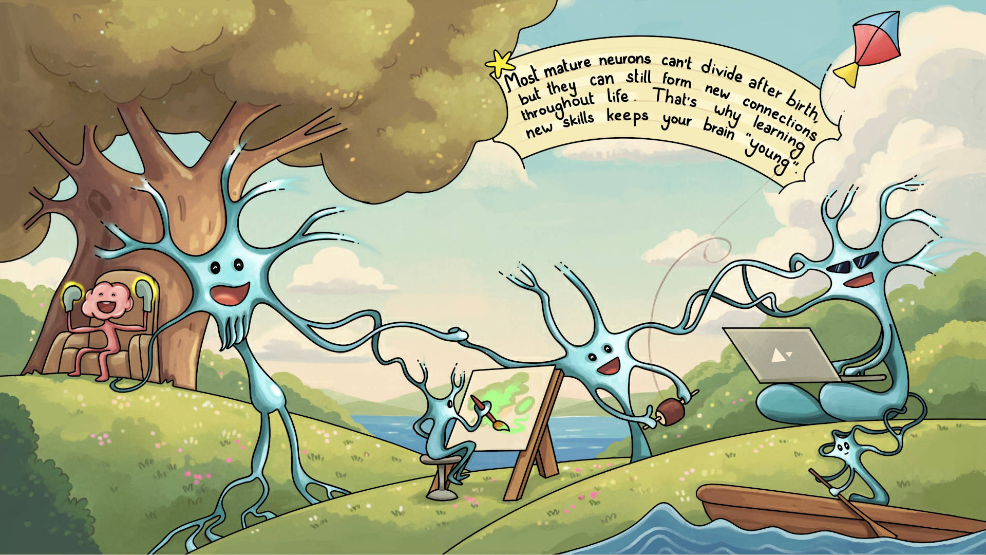 Human nervous system fun fact