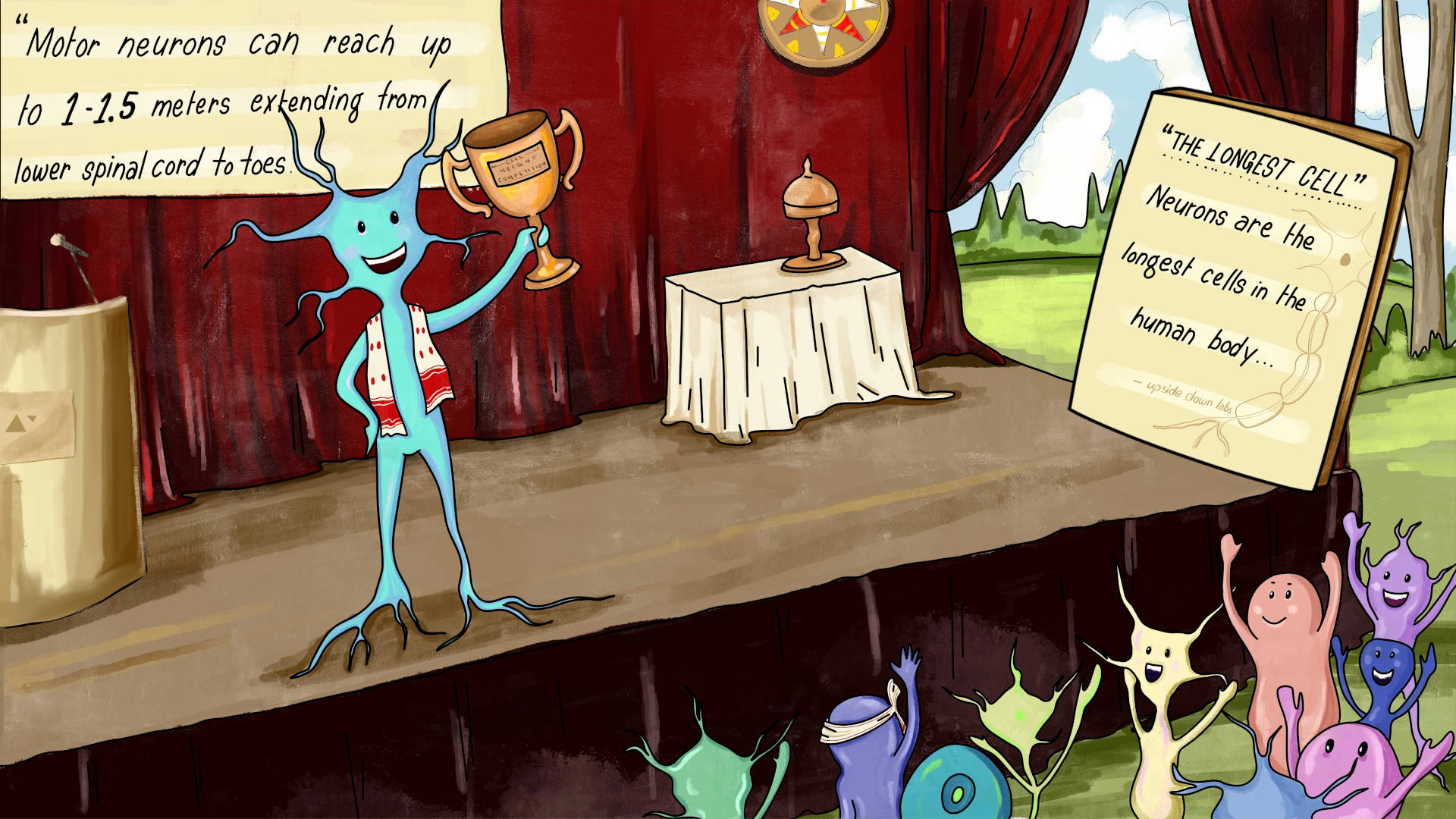 Human nervous system fun fact