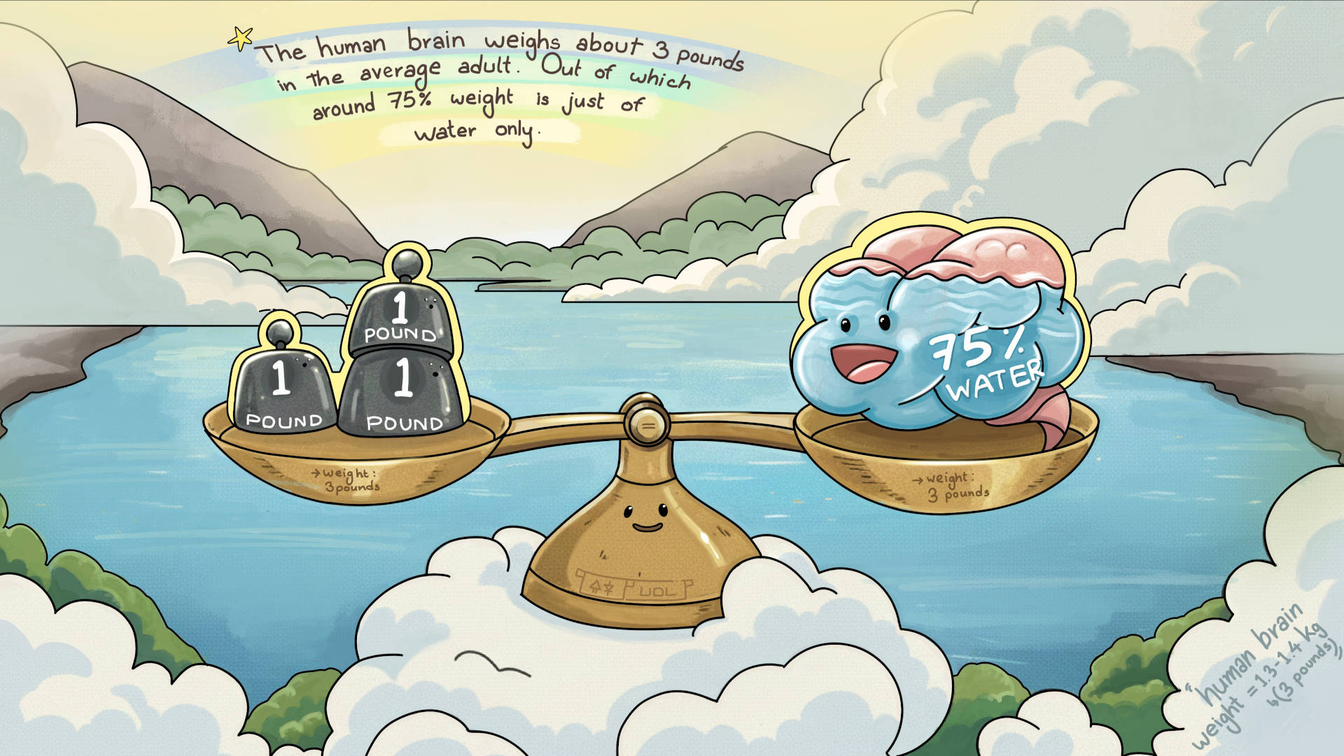 Human nervous system fun fact#3