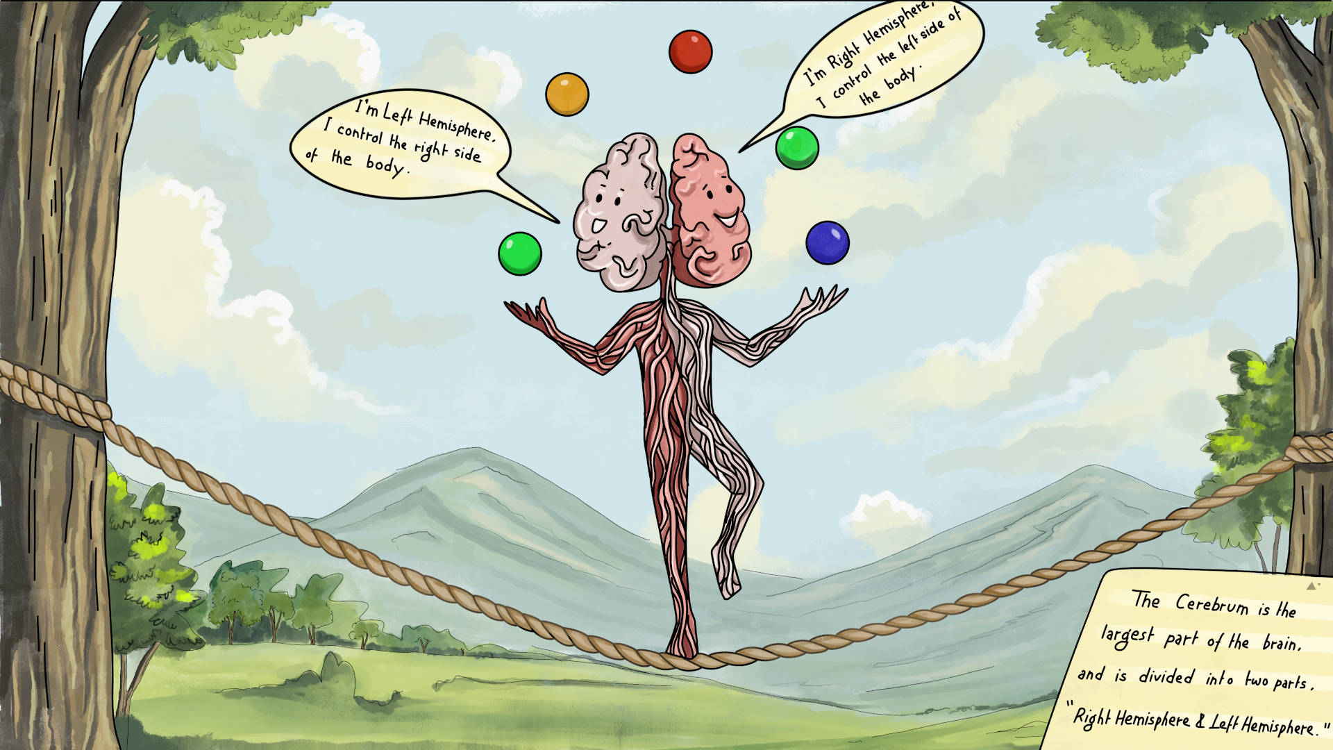 Human nervous system fun fact#6
