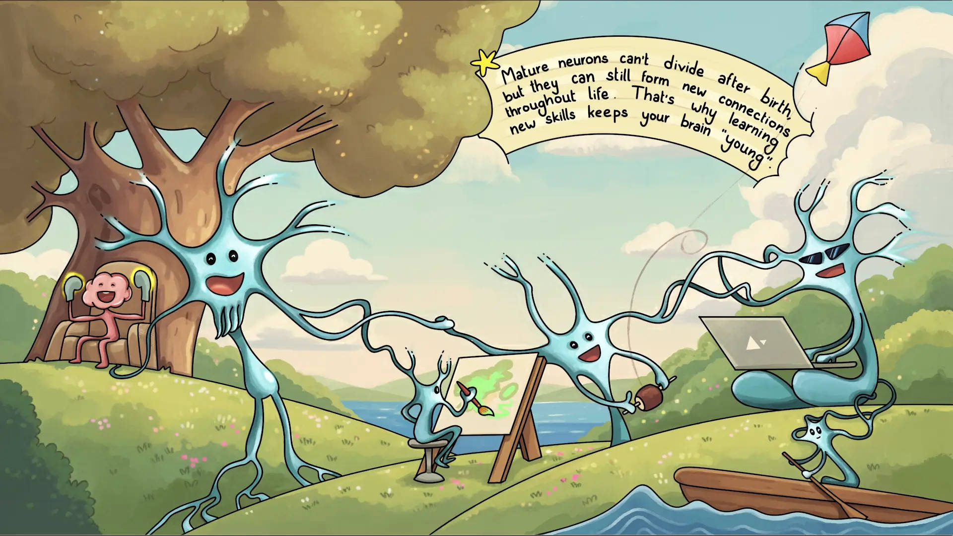 Human nervous system fun fact#8