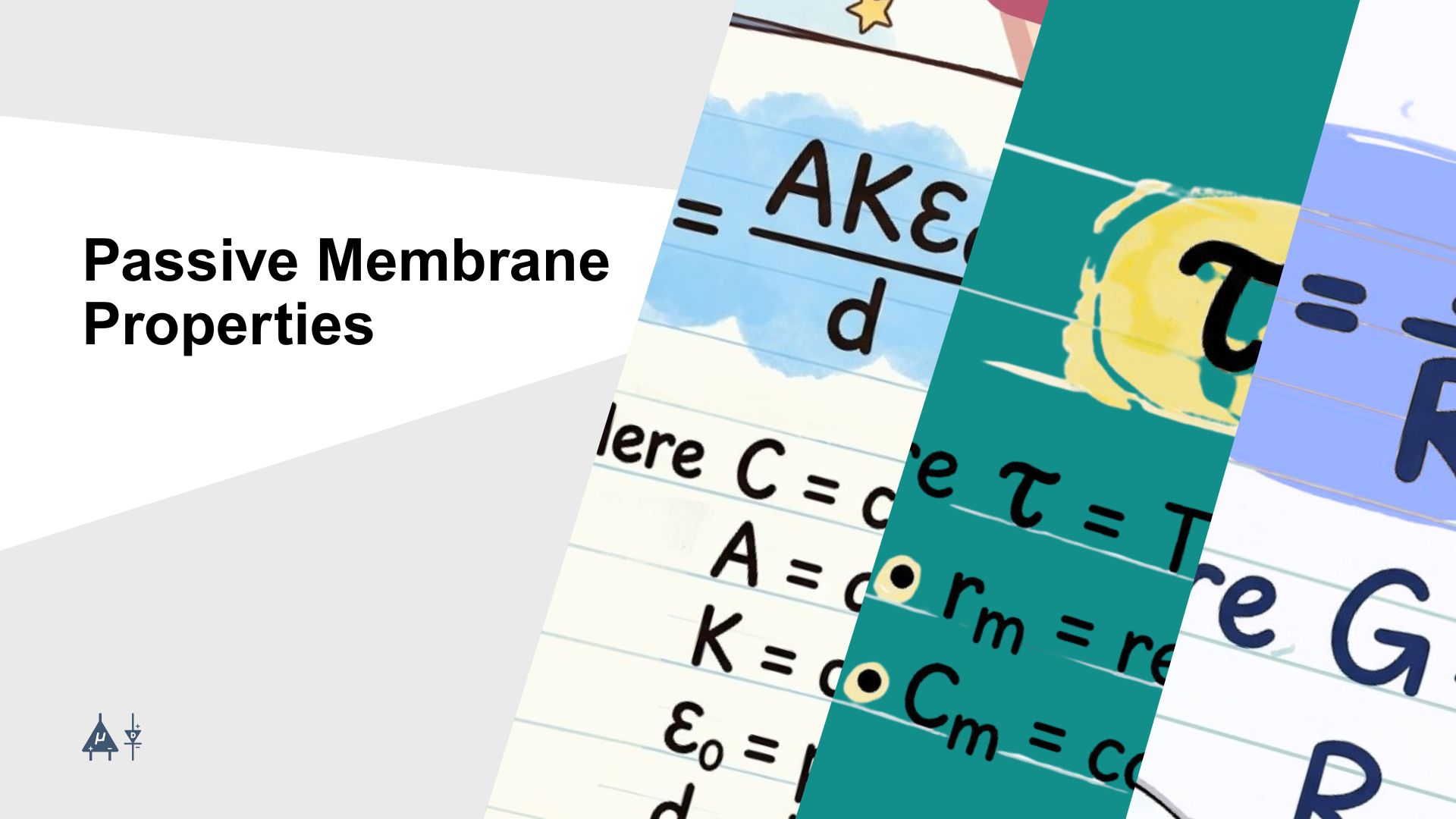 Module 3 Banner