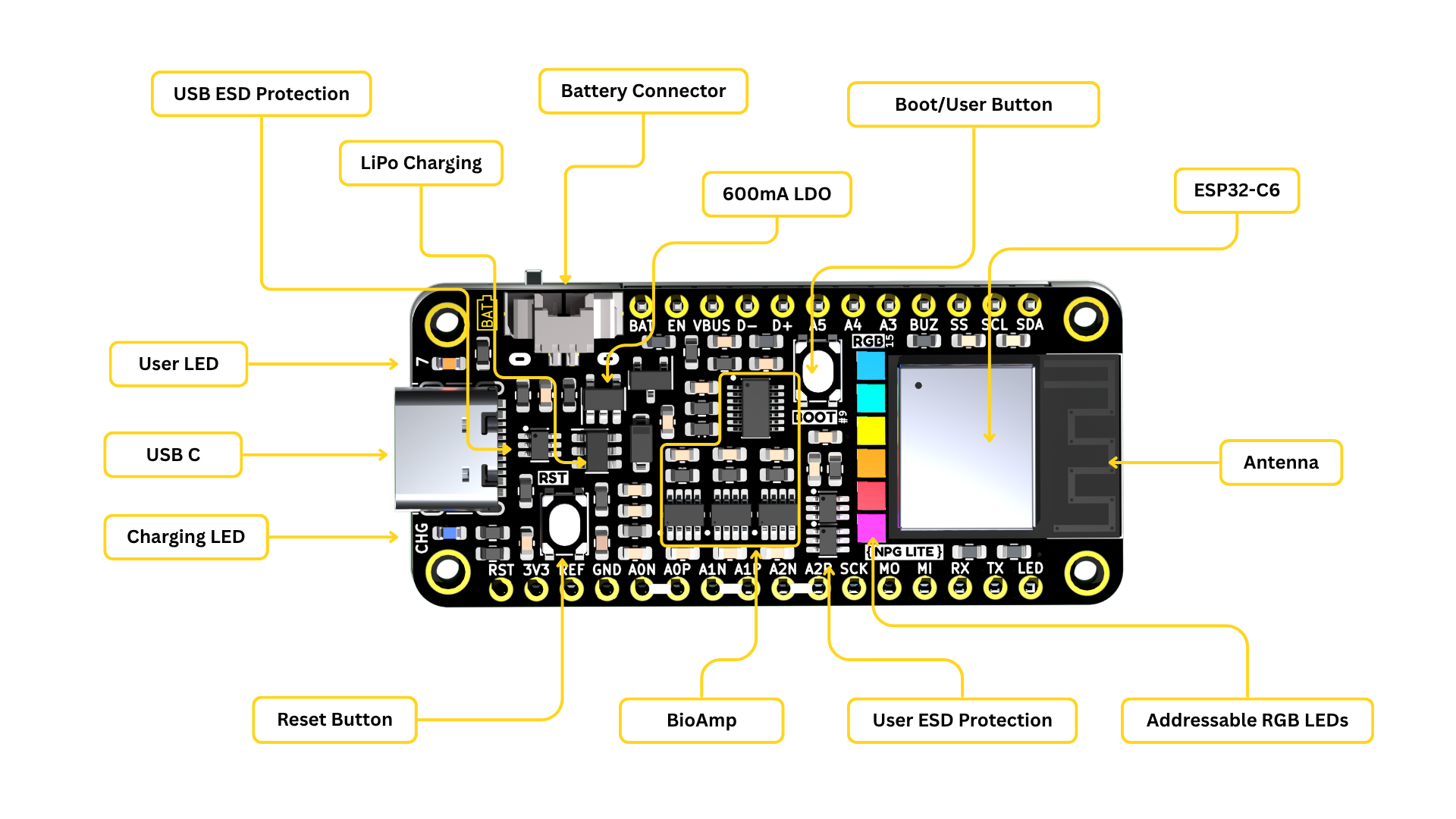 Neuro PlayGround (NPG) Lite annotations
