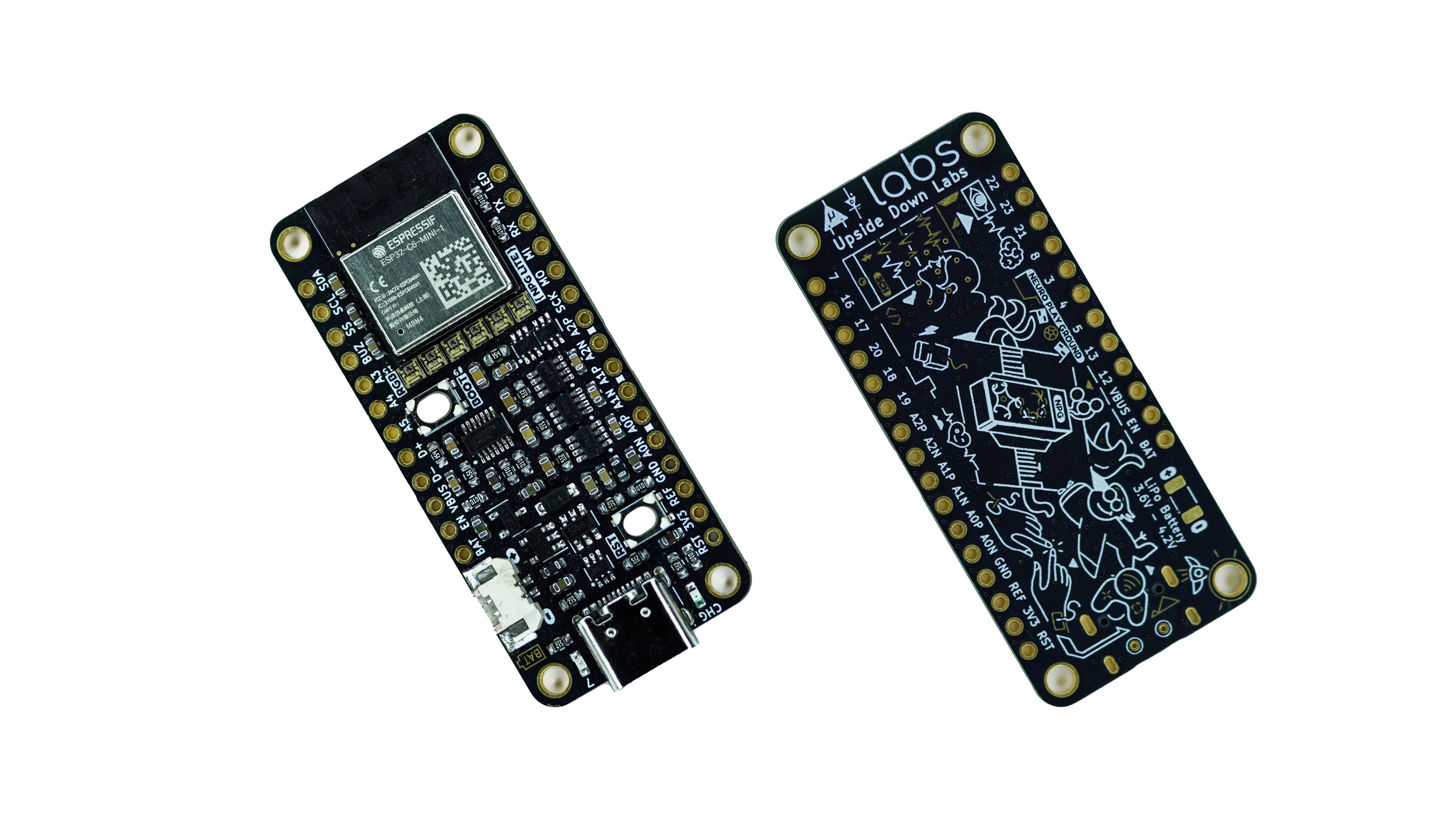 Neuro Play Ground (NPG) Lite