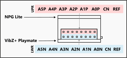 NPG Lite VibZ+ Playmate Connection