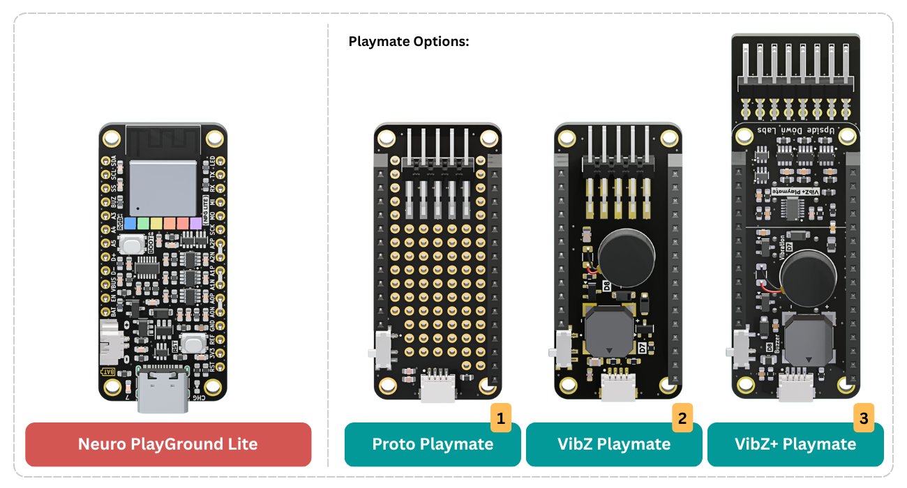Neuro PlayGround (NPG) Lite Playmates