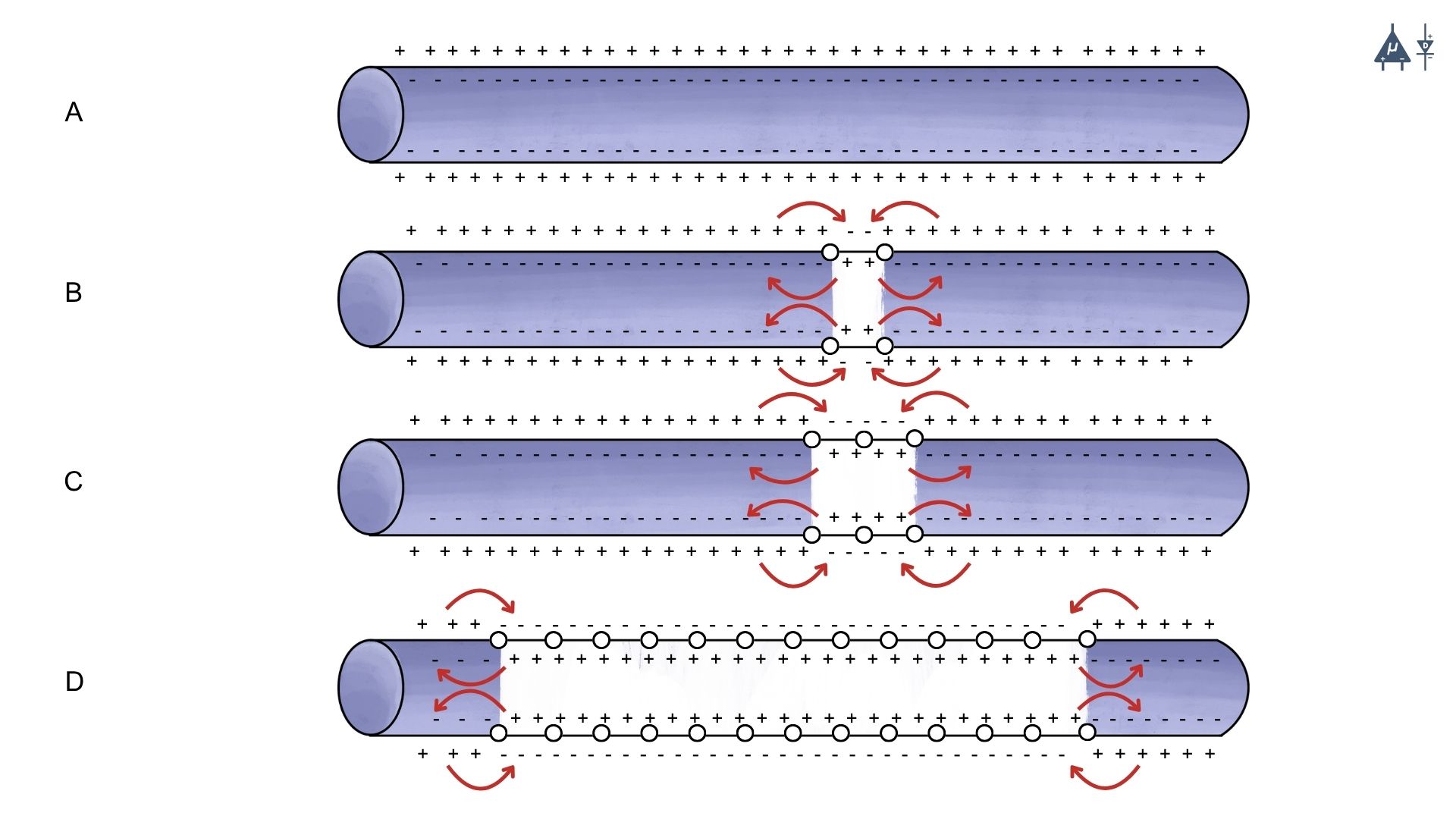 Propagation in Myelinated Axon