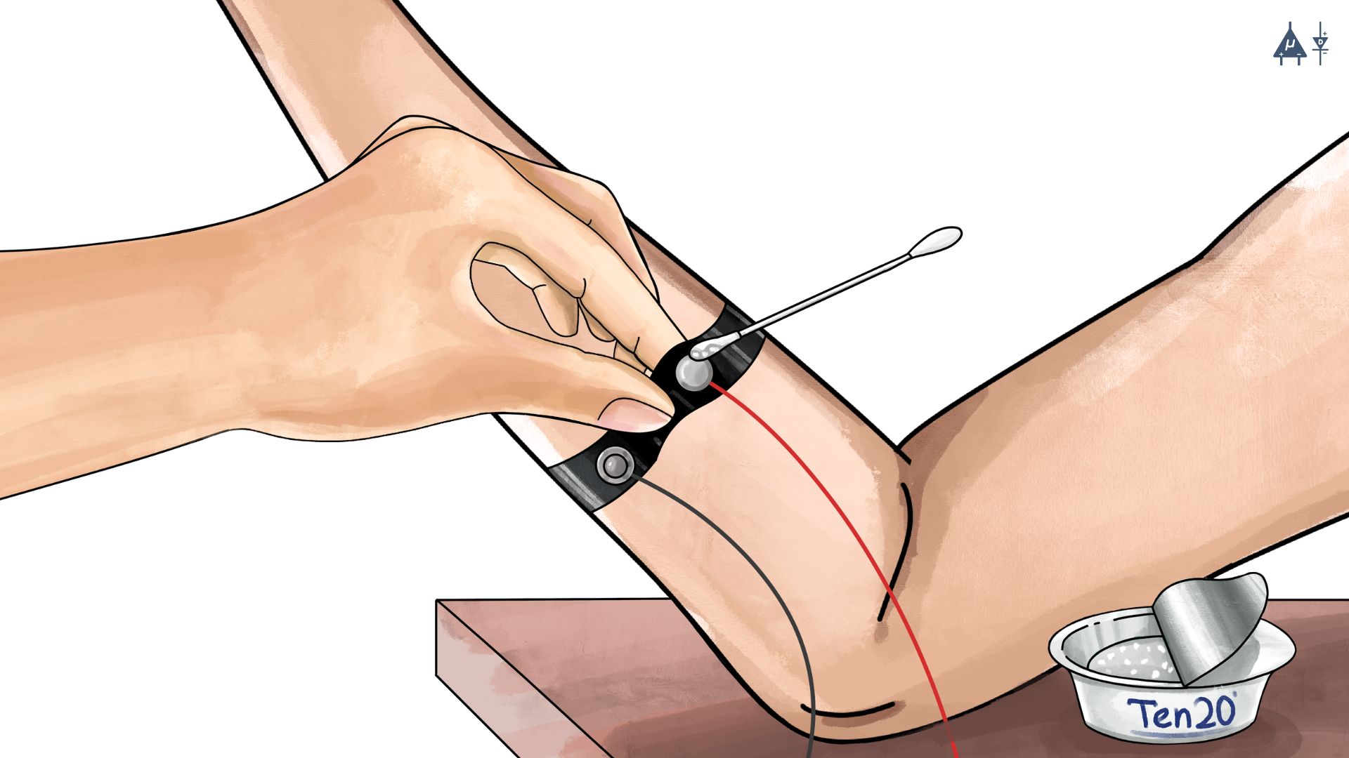 Muscle BioAmp Band Placement