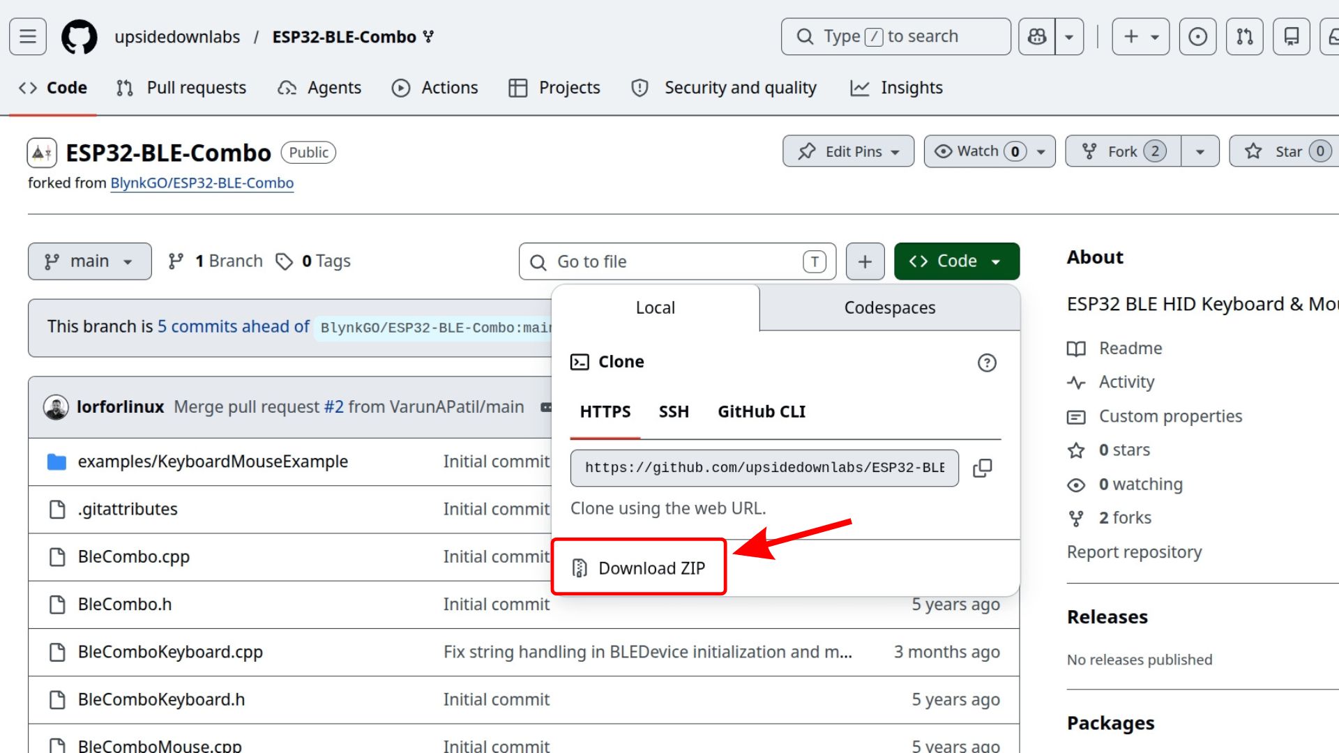 Download ZIP option